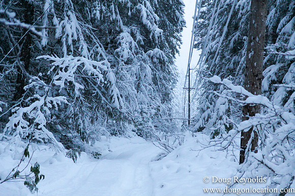 Snow Roads Mt HoodOregon