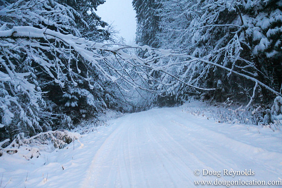 Snow Roads Mt HoodOregon