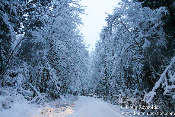 Snow Roads Mt HoodOregon