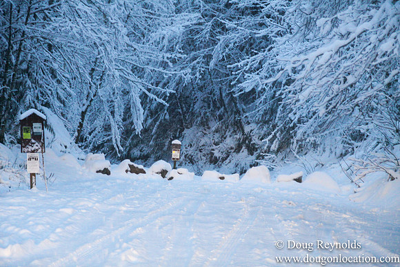 Snow Roads Mt HoodOregon