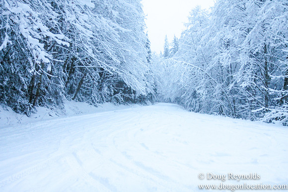 Snow Roads Mt HoodOregon