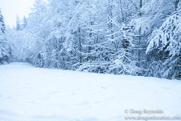 Snow Roads Mt HoodOregon