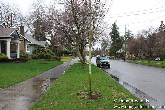 NE Knott at 32nd Street