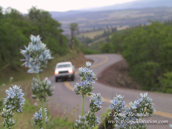 WA Canyon Rd- 7412