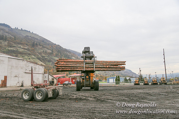 SDS Lumber-1484
