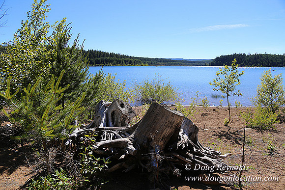 Clear Lake-3476