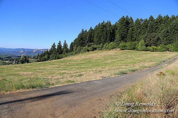 Both Hill Rd-8609