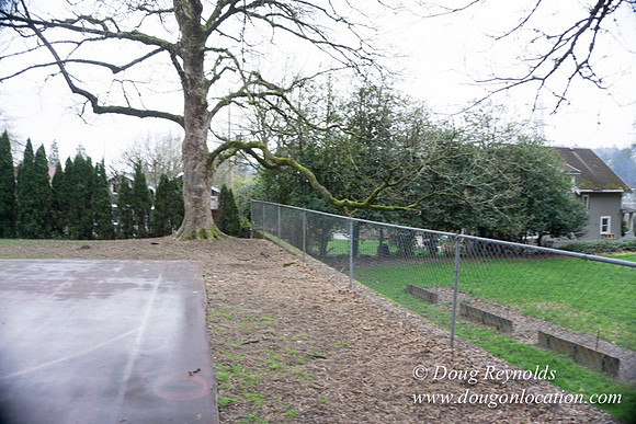 Sellwood Park-2361