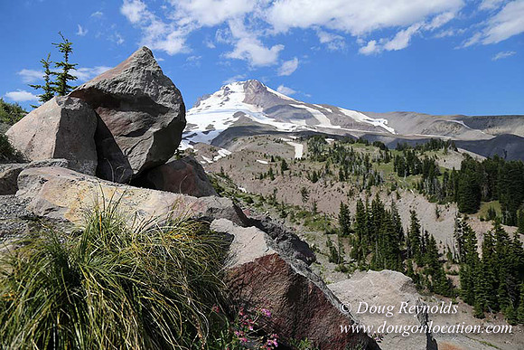 Timberline East rock-6781