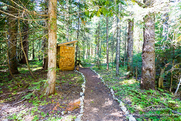 Karri's Cabin