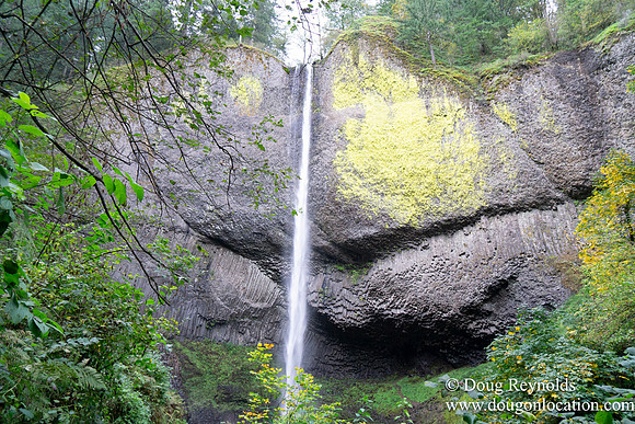 SNog Productions Sony 2016 Oregon