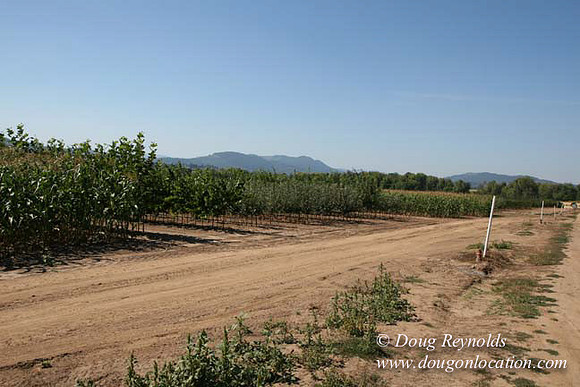 Farm 4 has Barns Shops they grow Wheat and Corn.  in the Portland Zone