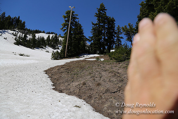 Medow's Snow-5732