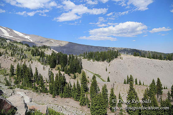 Timberline East rock-6794