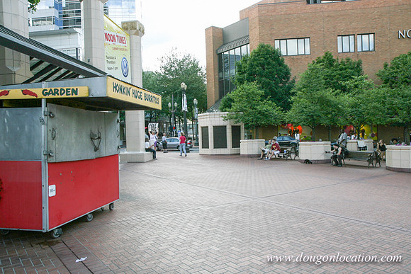 Pioneer Square- 3198