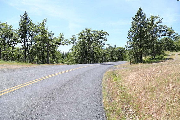 Canyon Rd 2-7984