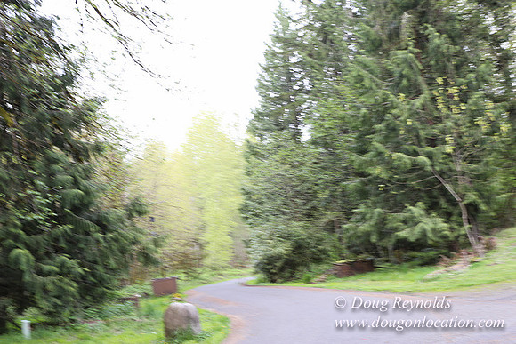 Brians Upper Drive-0291