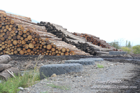 SDS Lumber-1415
