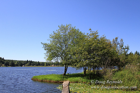 Richter Lake House-8402
