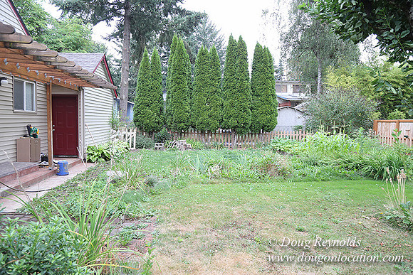 Jeramiah's Backyard-1661