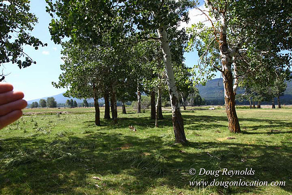 2500 Acres of green fields Creeks water crossing Bridges on a Large Lake and miles of Dirt roads Oak trees Forest land ATV Trails cows