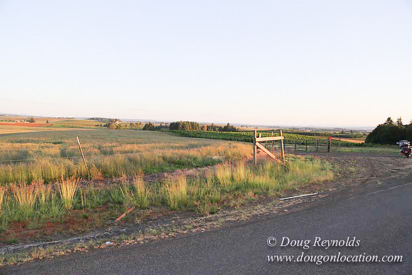 Hwy 214 M18-7601