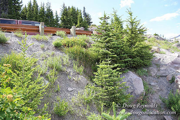 Timberline East rock-6791