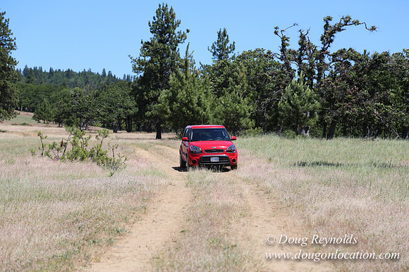 Brothers Ranch-8480