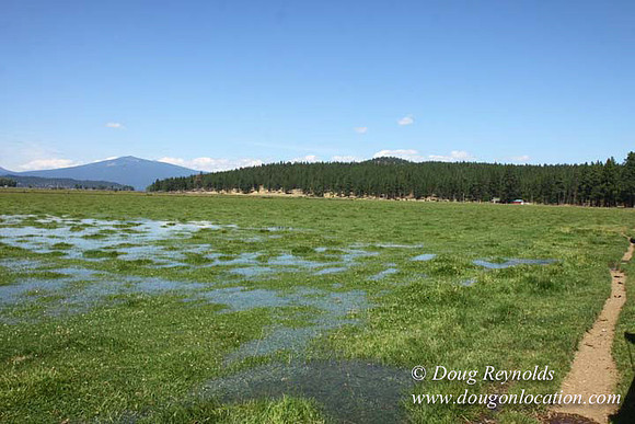 2500 Acres of green fields Creeks water crossing Bridges on a Large Lake and miles of Dirt roads Oak trees Forest land ATV Trails cows