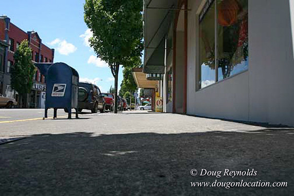 Forest Grove-5453