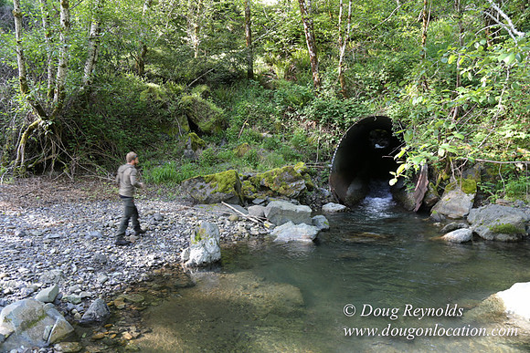 Ross on Jerry Flt Creek-2473