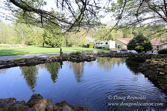 Brians Pond & Drive-9928