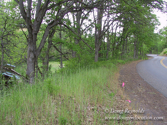 WA Canyon Rd- 7389