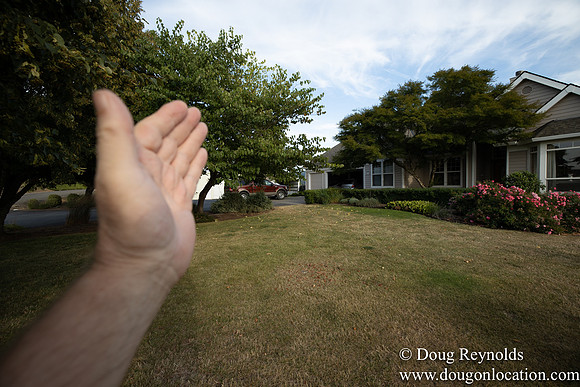 Jays Yard-8536