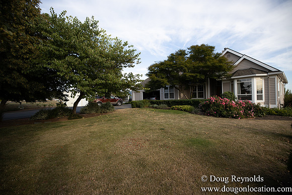 Jays Yard-8537