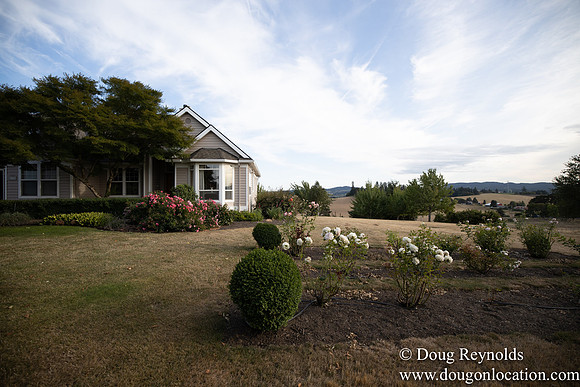 Jays Yard-8539