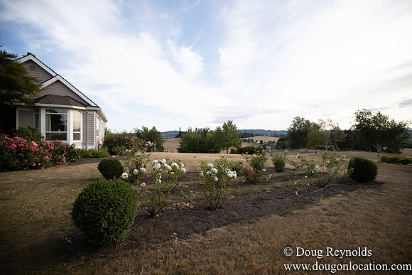 Jays Yard-8540