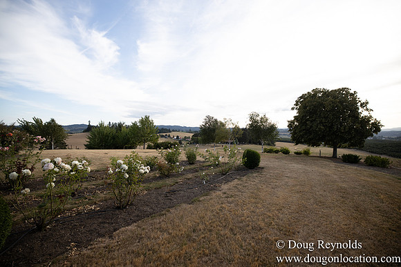 Jays Yard-8541