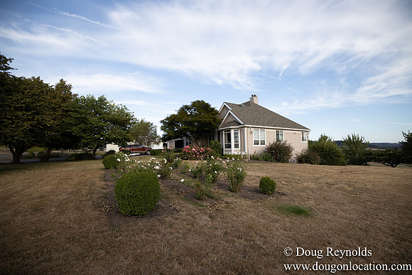 Jays Yard-8547