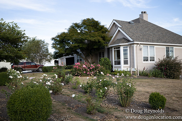 Jays Yard-8549