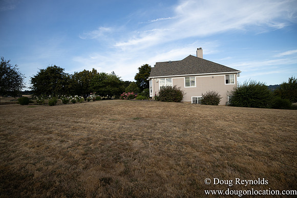 Jays Yard-8550
