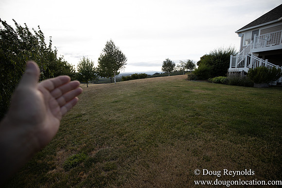 Jays Yard-8560