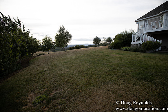 Jays Yard-8561