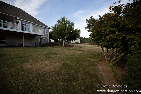 Jays Yard-8564