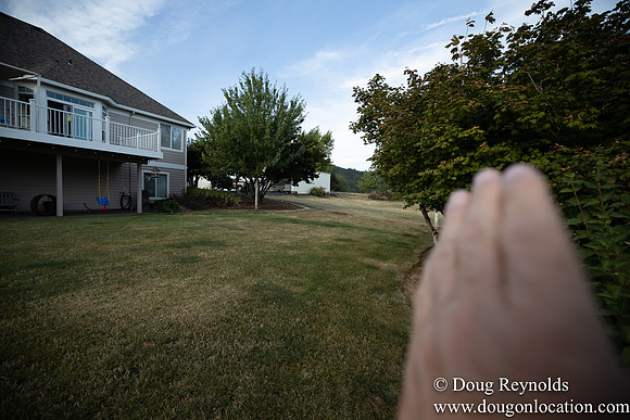 Jays Yard-8565
