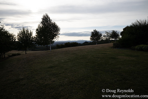 Jays Yard-8567