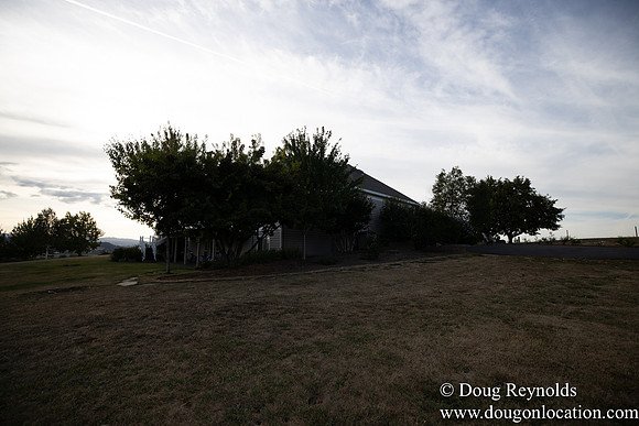 Jays Yard-8568