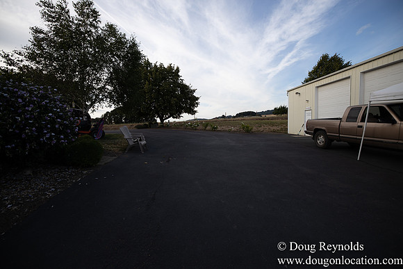 Jays Yard-8580