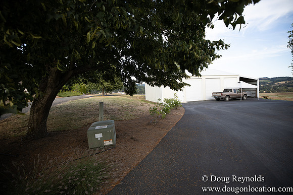 Jays Yard-8583