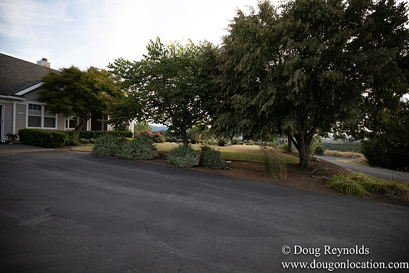 Jays Yard-8587